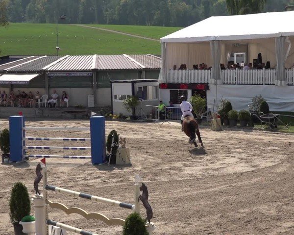 Reitturnier Humlikon 2024