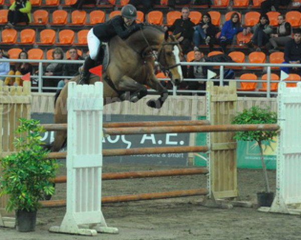 jumper Bersiana (KWPN (Royal Dutch Sporthorse), 2006, from Ultimo)