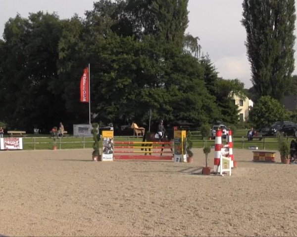 Remmighausen 2013