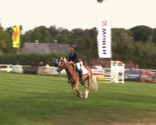 Reitturnier Burgstädt 2024
