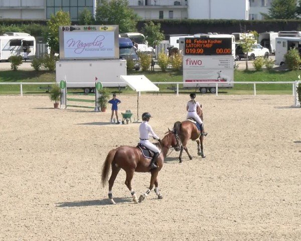 Reitturnier Bülach 2024