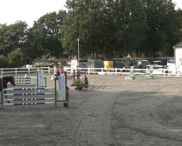 Reitturnier Springturnier Mildstedt 2024