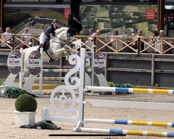 broodmare Call me Claire 3 (Holsteiner, 2008, from Colman)