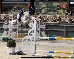 broodmare Call me Claire 3 (Holsteiner, 2008, from Colman)