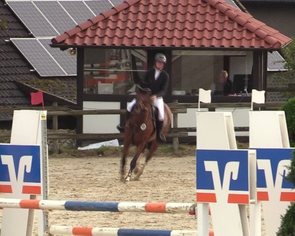 Reitturnier Vlotho-Valdorf 2024