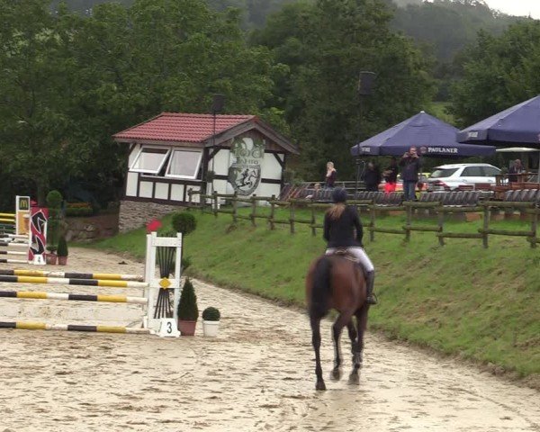 Reitturnier Vlotho-Valdorf 2024