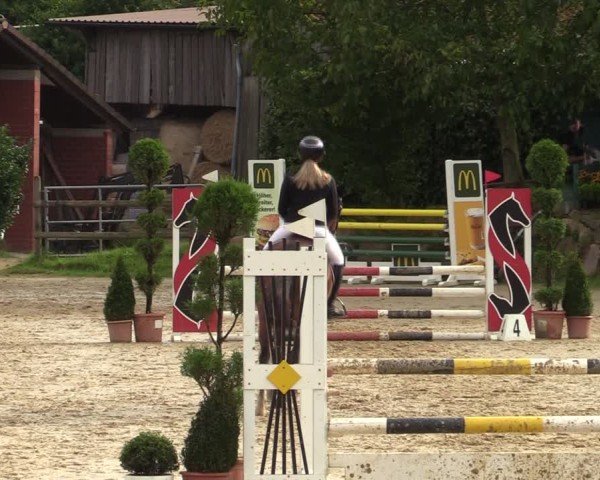 Reitturnier Vlotho-Valdorf 2024