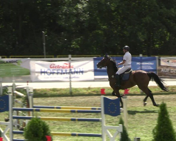 Reitturnier Müncheberg 2024