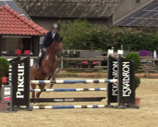 Reitturnier Vlotho-Valdorf 2024