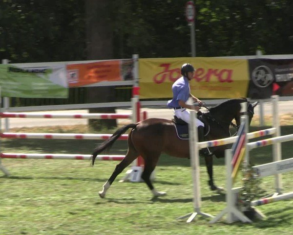 Reitturnier Müncheberg 2024