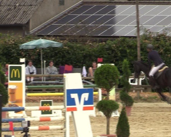 Reitturnier Vlotho-Valdorf 2024