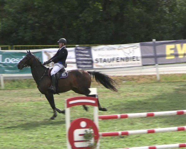 Reitturnier Müncheberg 2024