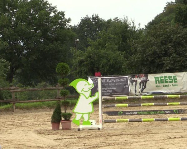Reitturnier Vlotho-Valdorf 2024