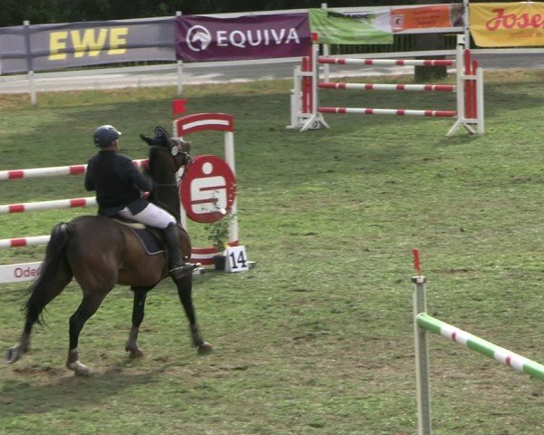 Reitturnier Müncheberg 2024