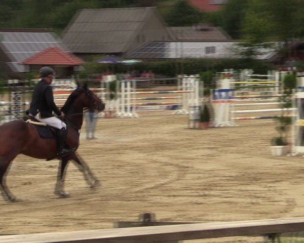 Reitturnier Vlotho-Valdorf 2024
