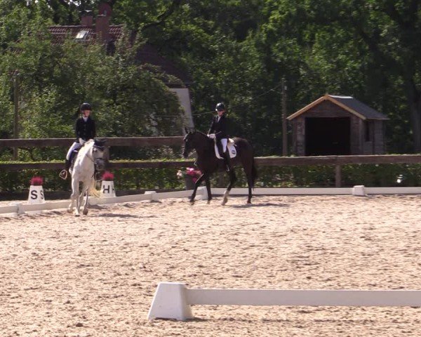 Reitturnier Müncheberg 2024