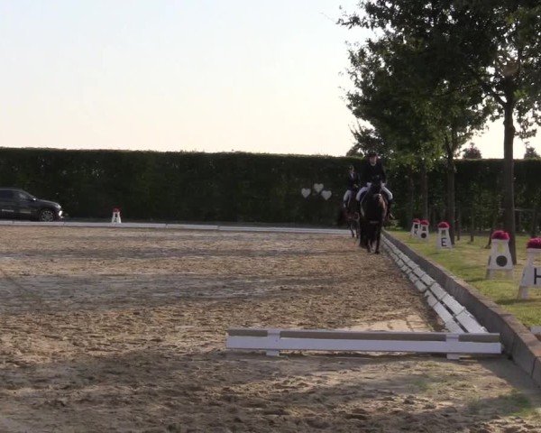 Reitturnier Ennigerloh-Neubeckum 2024