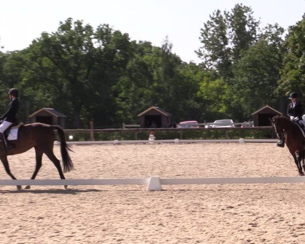 Reitturnier Müncheberg 2024
