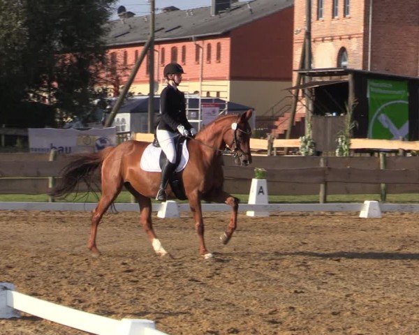 Reitturnier Pinnow 2024