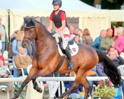 jumper Captain Jack 92 (Westphalian, 2017, from Captain Fire)