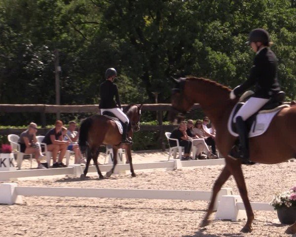 Reitturnier Müncheberg 2024