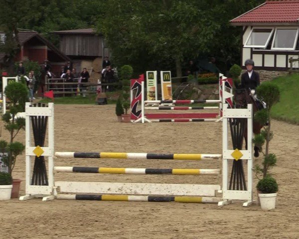 Reitturnier Vlotho-Valdorf 2024