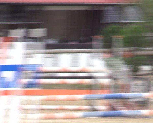 Reitturnier Vlotho-Valdorf 2024