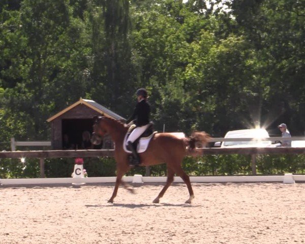 Reitturnier Müncheberg 2024