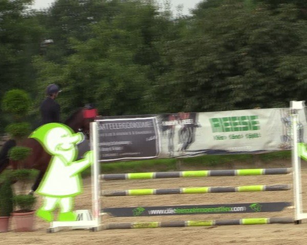 Reitturnier Vlotho-Valdorf 2024