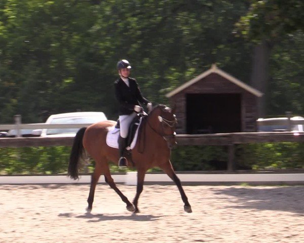 Reitturnier Müncheberg 2024