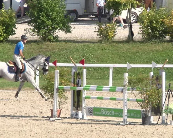 Reitturnier Bülach 2024