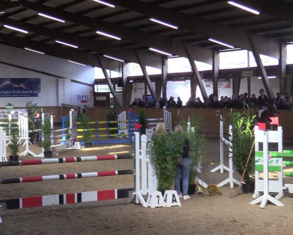 Reitturnier Steinheim 2021