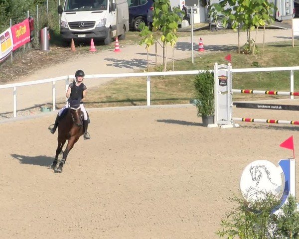 Reitturnier Bülach 2024