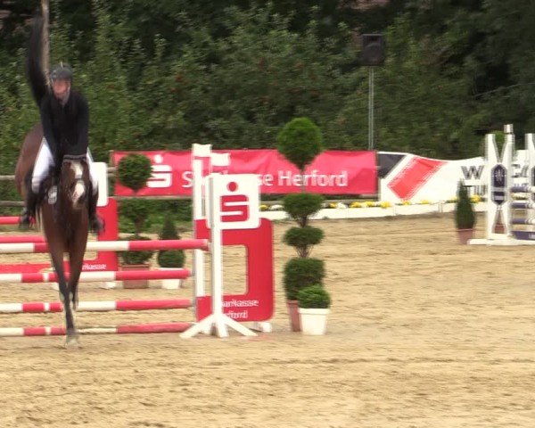 Reitturnier Vlotho-Valdorf 2024