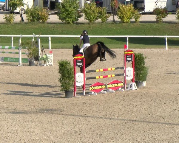 Reitturnier Bülach 2024