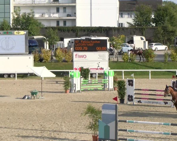 Reitturnier Bülach 2024