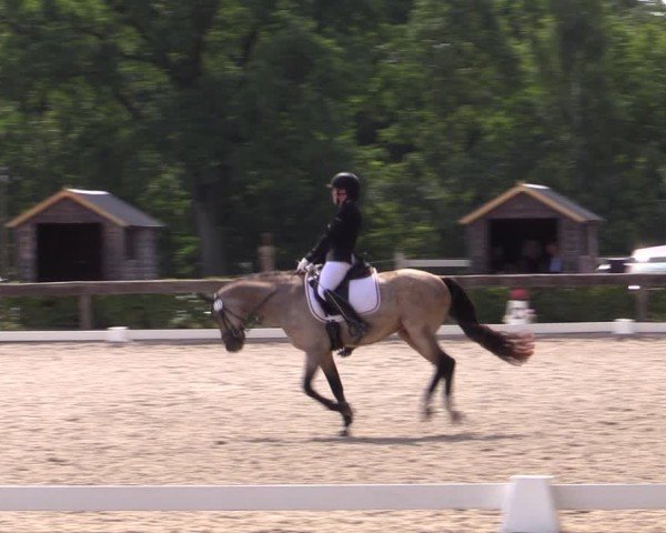 Reitturnier Müncheberg 2024