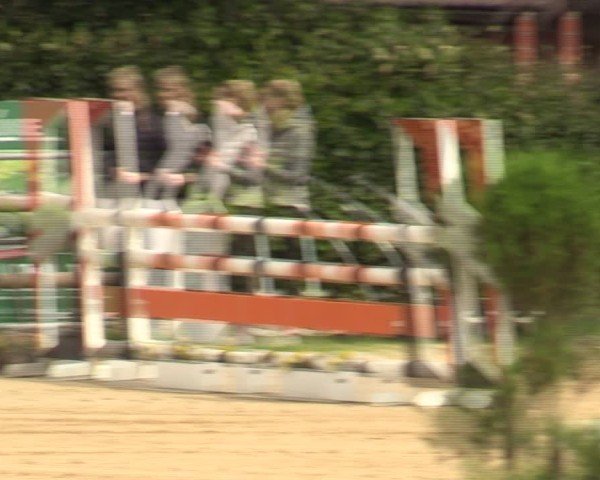 Reitturnier Vlotho-Valdorf 2024