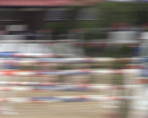 Reitturnier Vlotho-Valdorf 2024