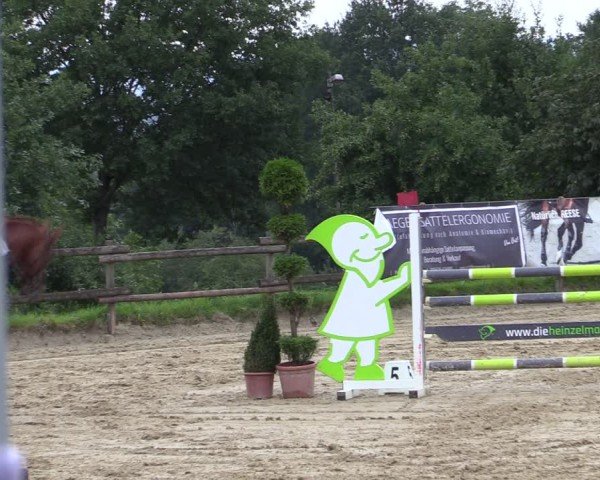 Reitturnier Vlotho-Valdorf 2024
