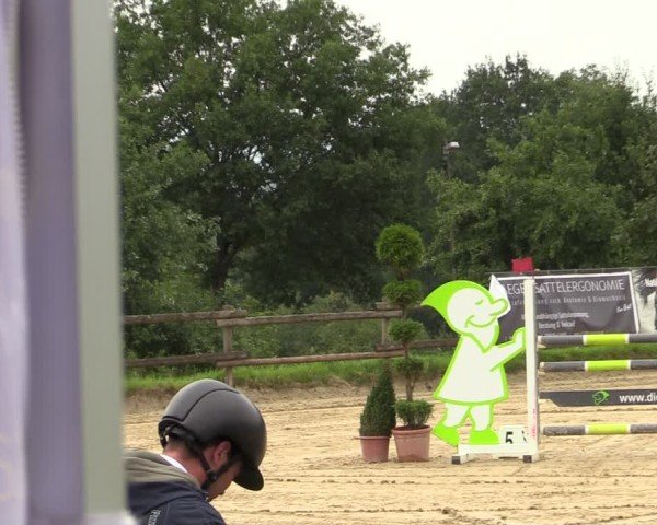 Reitturnier Vlotho-Valdorf 2024