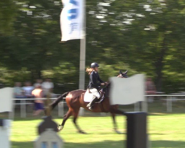 Reitturnier Burgstädt 2024