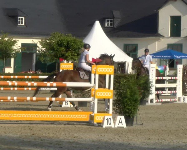 Reitturnier St.Wendel, Gestüt Welvert 2024