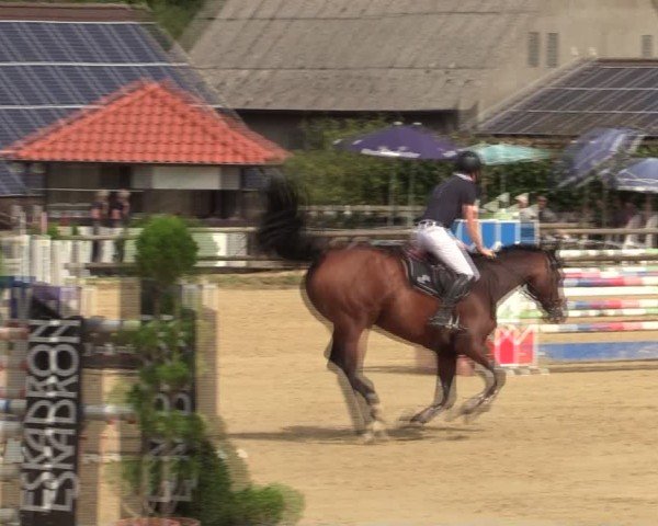 Reitturnier Vlotho-Valdorf 2024