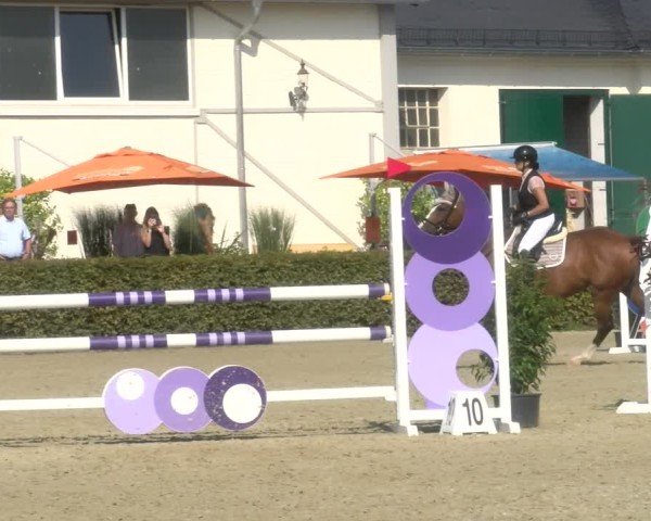 Reitturnier St.Wendel, Gestüt Welvert 2024