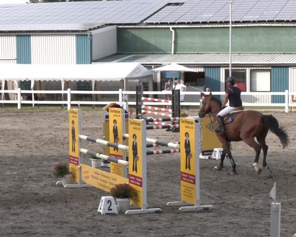Reitturnier Springturnier Mildstedt 2024