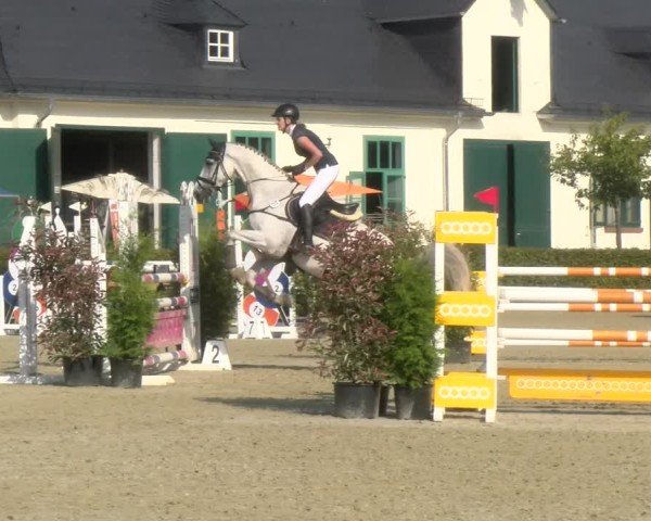 Reitturnier St.Wendel, Gestüt Welvert 2024