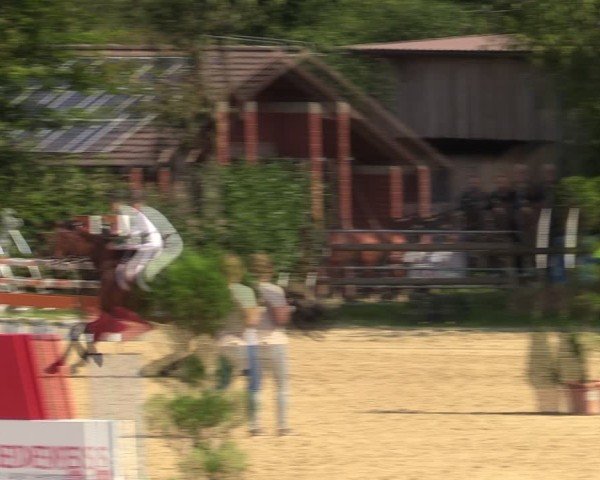 Reitturnier Vlotho-Valdorf 2024