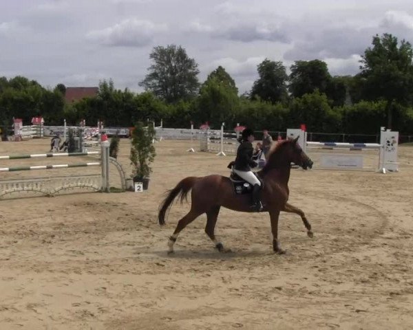 Fröndenberg 2013