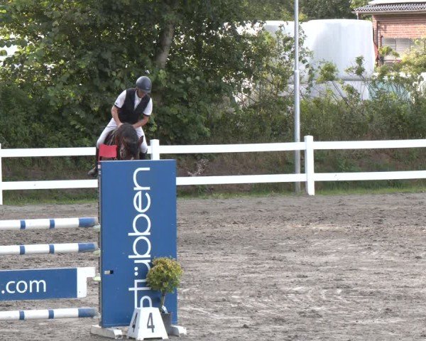 Reitturnier Springturnier Mildstedt 2024